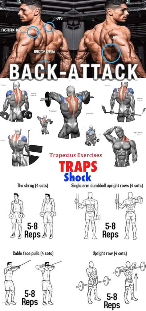 best trap exercises with dumbbells.